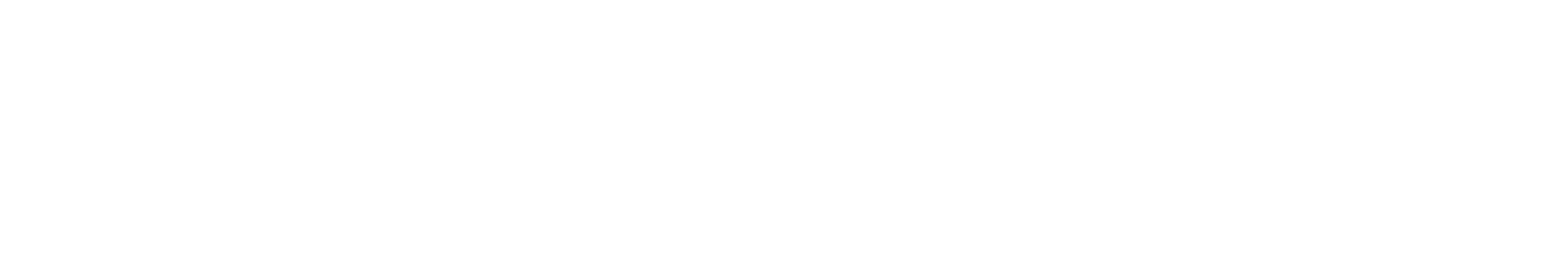 Pixel Pro IT